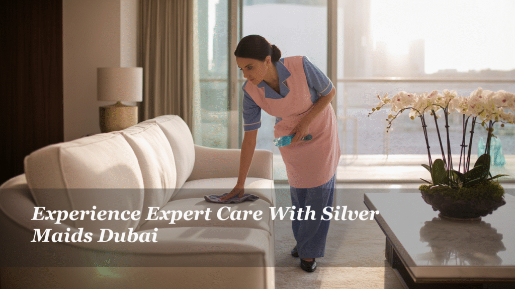 house keeping house cleaning services dubai house maid in dubai home cleaners dubai, house keeping SEO