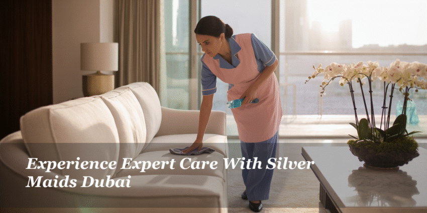 house keeping house cleaning services dubai house maid in dubai home cleaners dubai, house keeping SEO